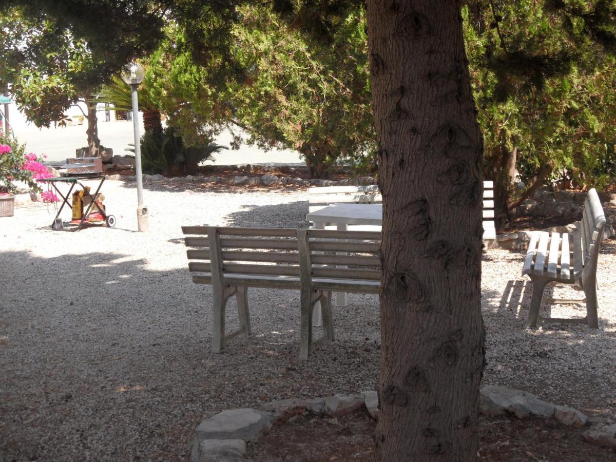 Azienda Agrituristica Masseria Campi 圣维托诺曼 外观 照片