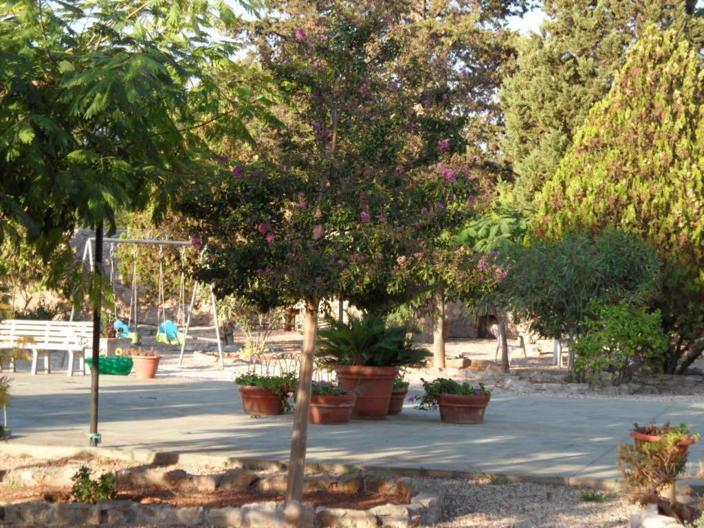 Azienda Agrituristica Masseria Campi 圣维托诺曼 外观 照片