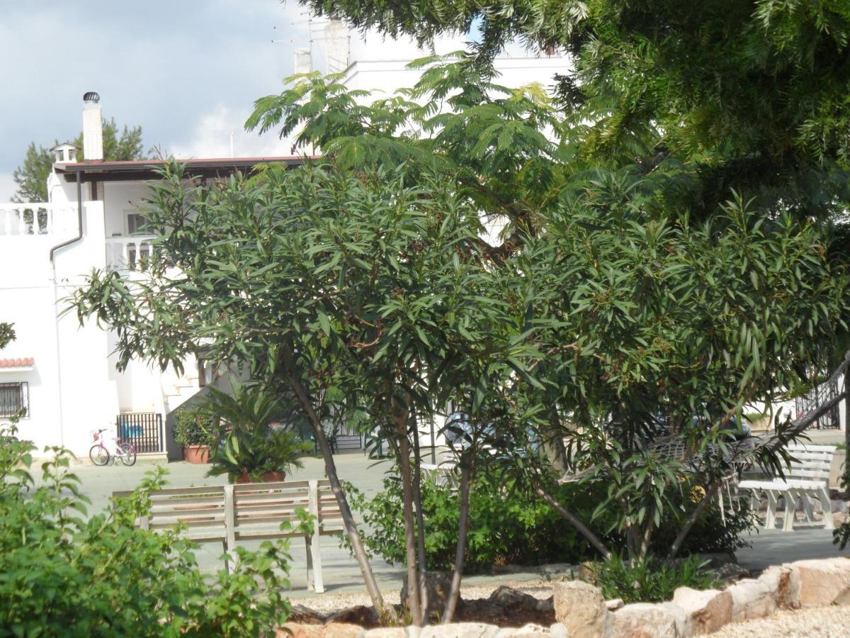 Azienda Agrituristica Masseria Campi 圣维托诺曼 外观 照片