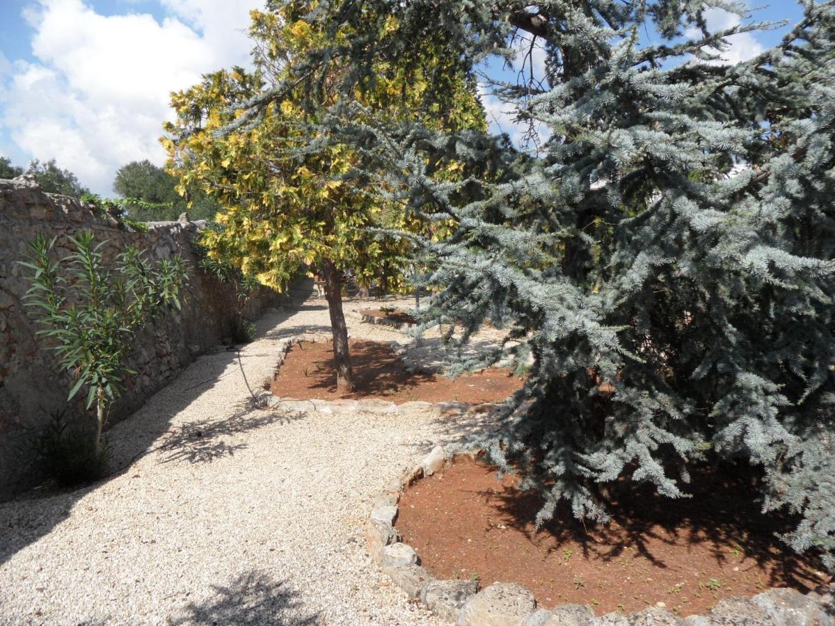 Azienda Agrituristica Masseria Campi 圣维托诺曼 外观 照片