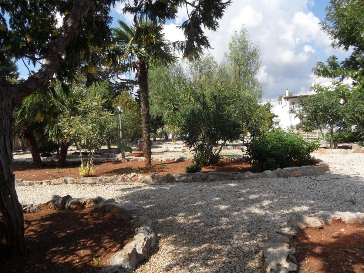 Azienda Agrituristica Masseria Campi 圣维托诺曼 外观 照片