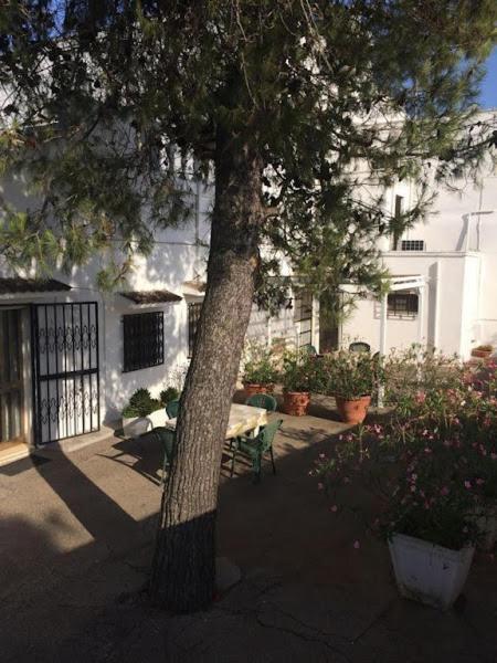 Azienda Agrituristica Masseria Campi 圣维托诺曼 外观 照片